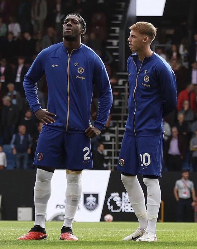TheChelseaForum's tweet photo. #CHELSEA NIGHT GAIN 🚨

Calling all active #Chelsea fans, let's expand our reach on X by following one and other. Drop your handles let's do the needful! 

Repost for others 🫶🏻🔵⚪️ https://t.co/XluPIG2Dwz