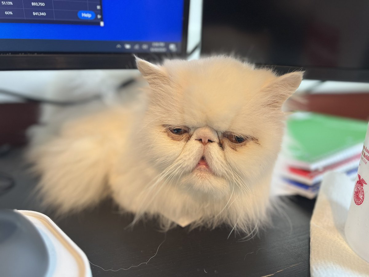 My favorite work colleague