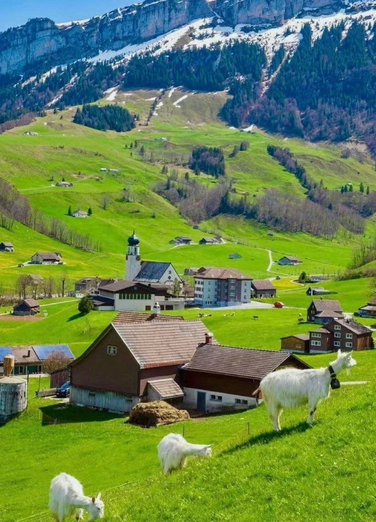 Beautiful day.🐐
#travel #nature #photography #Switzerland