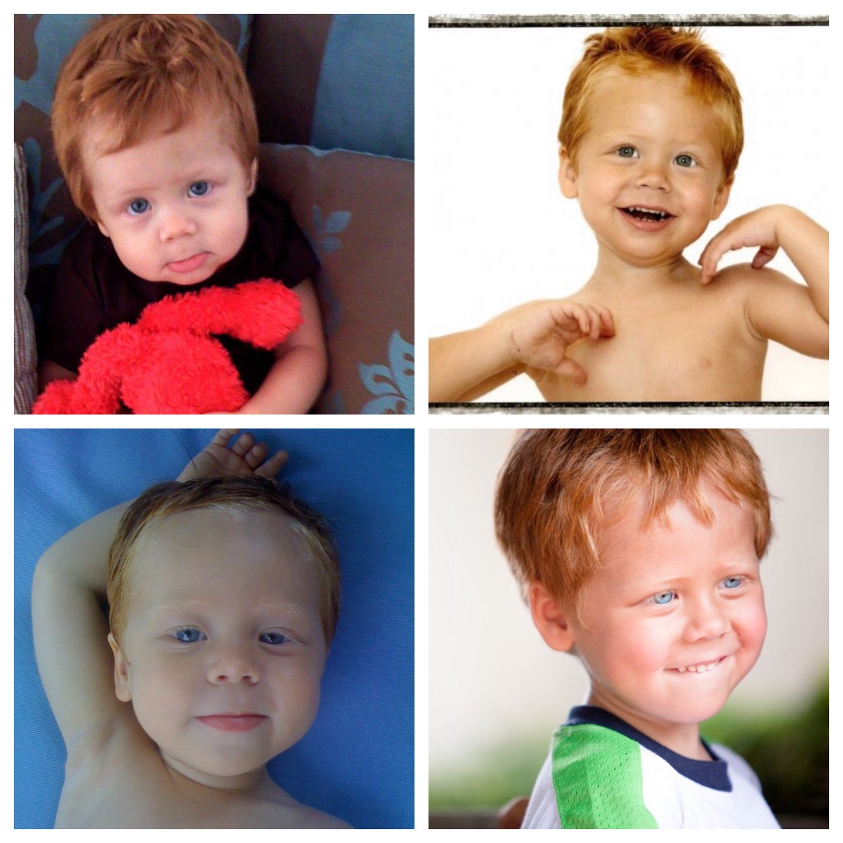 Carminita Immelman tweet media