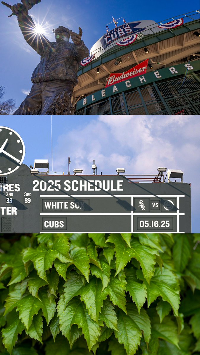 Chicago Cubs tweet media