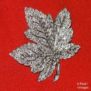 The Maple Crown 🇨🇦 tweet media