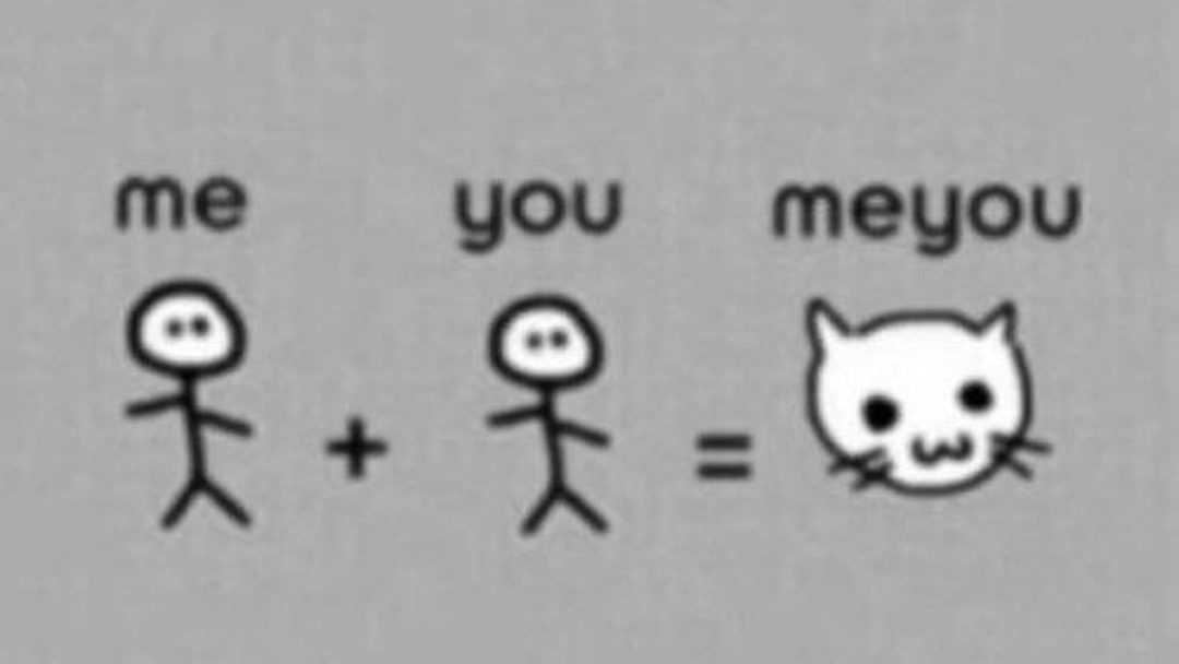 Punch Cat tweet media