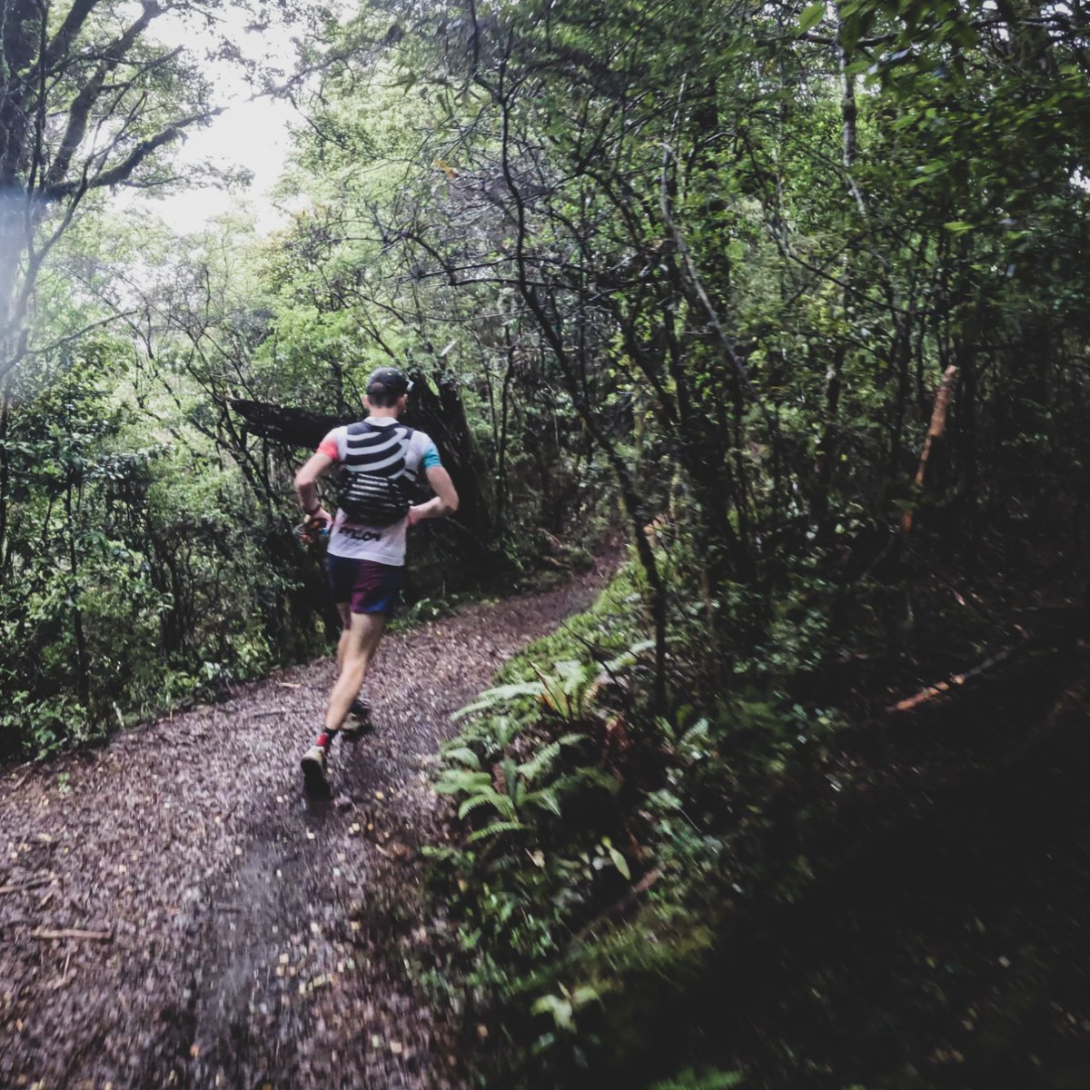 PyllonUltra's tweet photo. Some people swear by listening to music while running. Others tune into the sound of nature. 

Then there are those who listen to podcasts or audio books. 

What's your auditory preferences when running? 

#teampyllon #running https://t.co/6ebOskRLlI