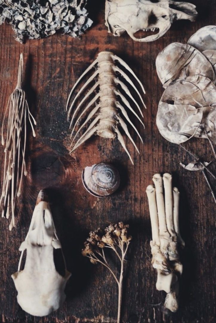 Think I have everything, who to summon though 🤔