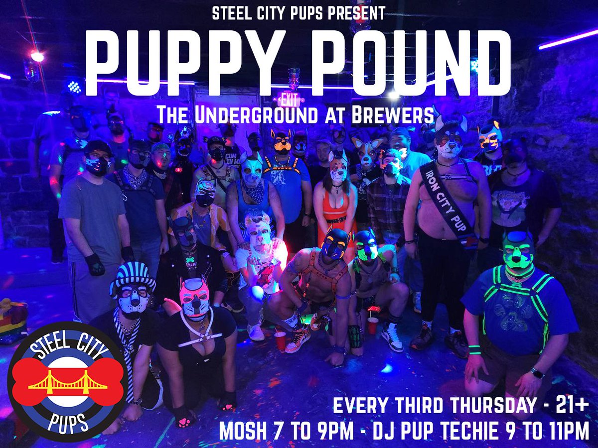 Steel City Pups tweet media