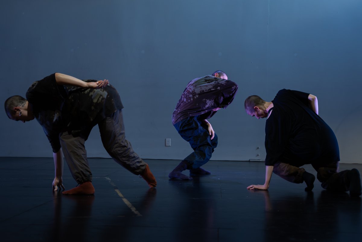 Danza UNAM tweet media