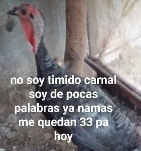 ElJeringasLoko's tweet image. yo