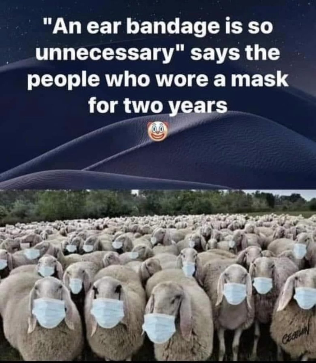 I’m looking at all you Libs who made fun of Trump’s ear bandage!  You’re all clowns!🤡 😂🤣👇🏻