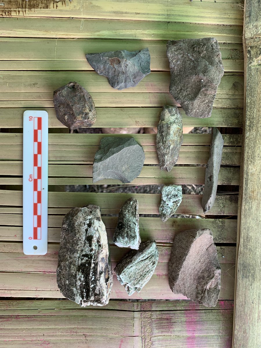 And that’s a wrap on the Malahuma 2024 fieldseason! Nearly a 1000 mapped remains of Stegodon, rats, birds, reptiles, and stone tools. Plus the best view in the So’a basin ☺️ (surface find stone tools in the photo) Thanks again to the <a href="/TheLeakeyFndtn/">The Leakey Foundation</a> for support.