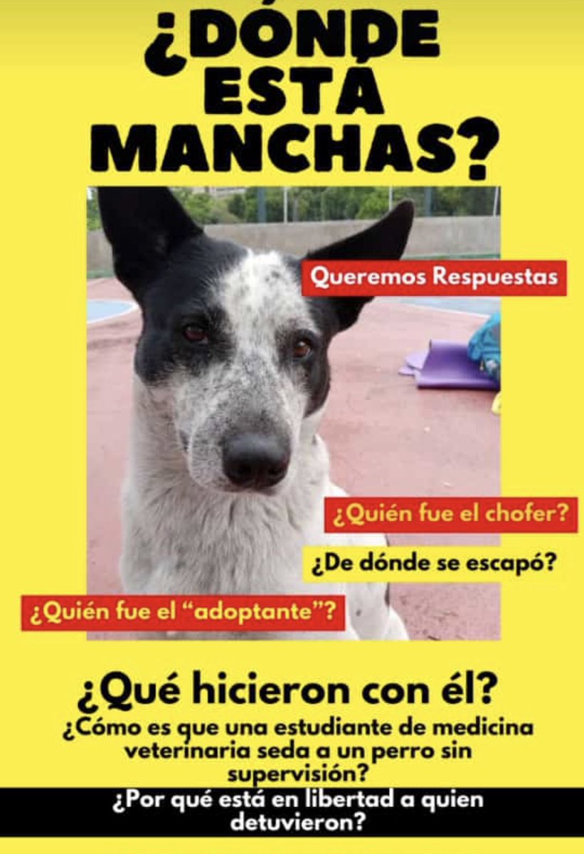 Lo mejor de #farmatodo sería que digan dónde está Manchas ?
