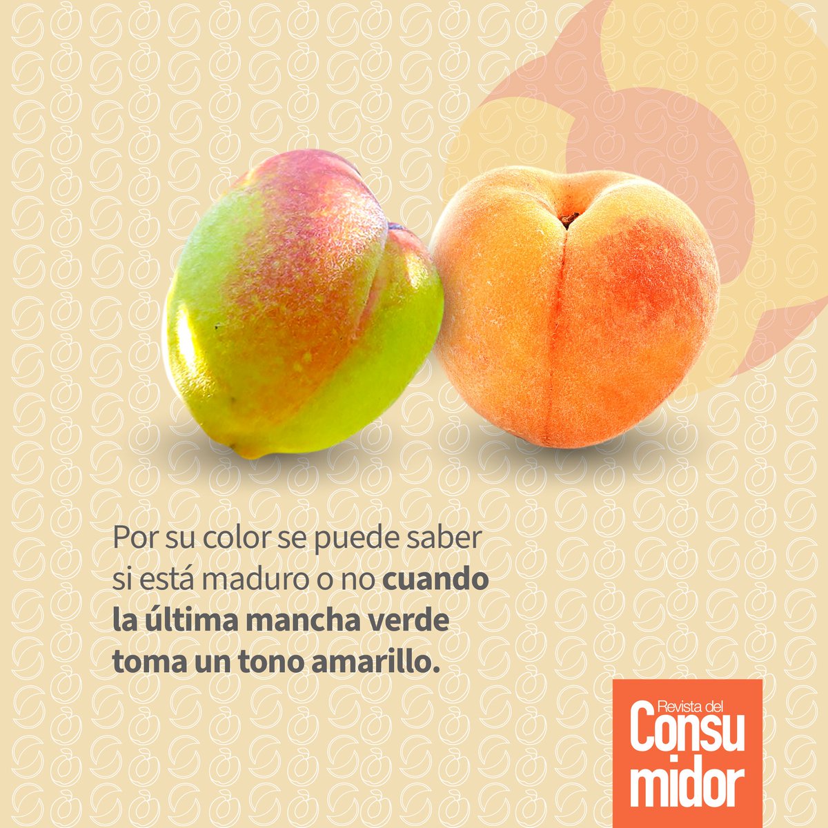Profeco's tweet photo. 🍑 El #Durazno aporta fósforo que contribuye a la correcta formación de huesos y dientes.
🍈 El #Melón contiene vitamina E la cual ayuda a prevenir el cáncer y enfermedades cardiovasculares.
🛒 Sigue nuestros #TipsProfeco al comprar y conservar durazno y melón. https://t.co/FCsY8MhG1s