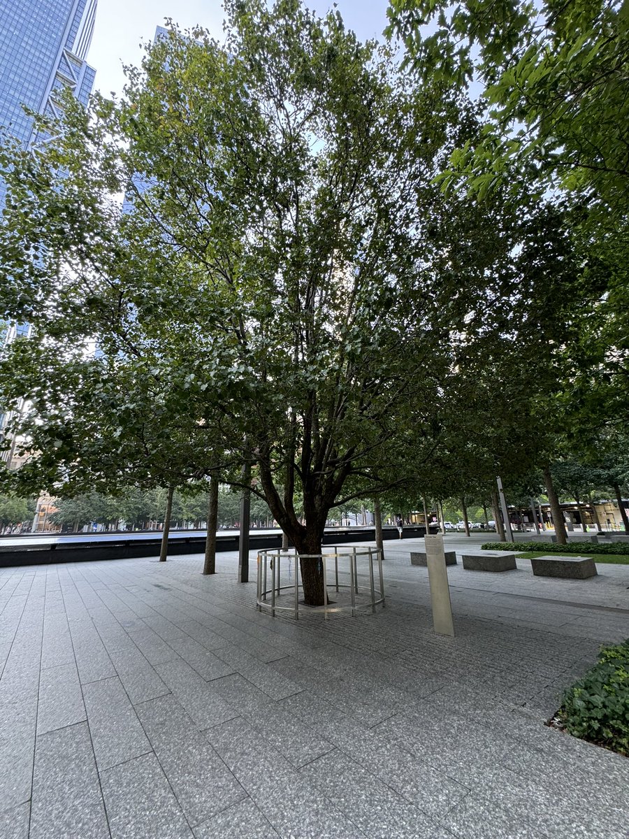 Brianna Thomas tweet media