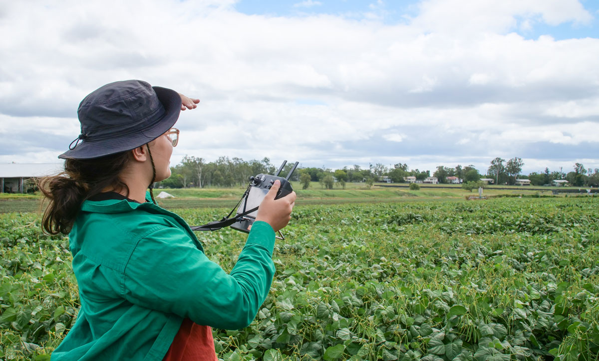 PhD Opportunity in Ag! 🌿 Join Owen Powell's team to accelerate the development of pulse crops for the future. Collaborate with international research teams and gain experience in digital twin software, data science, and gene discovery. Apply now: bit.ly/46eoyfC