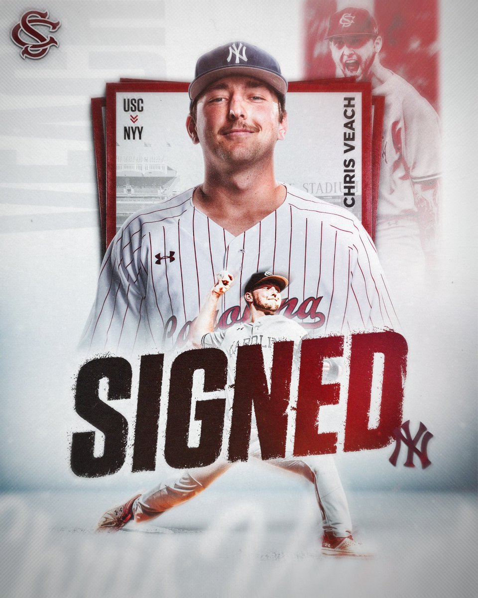 South Carolina Baseball tweet media