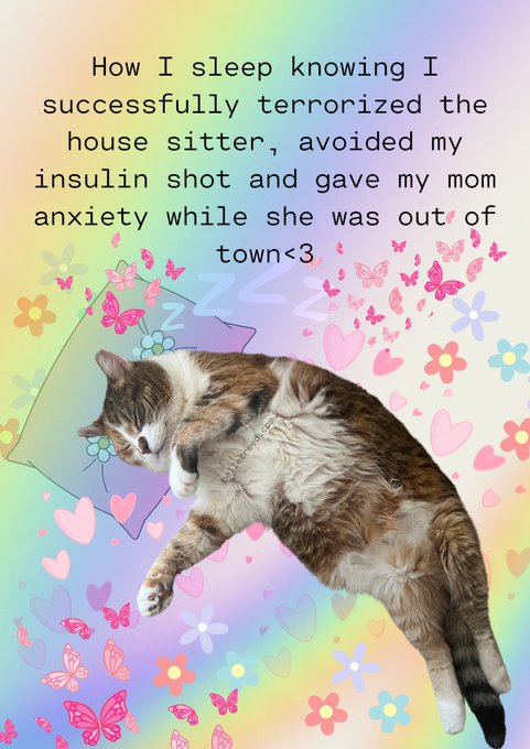 she&rsquo;s literally just a girl https://t.co/q2ryiTcgmE