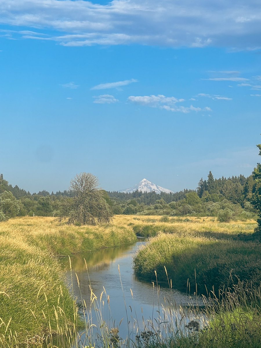 cjdoeslife's tweet image. Happy to be back:) 

PNW 🌲📍