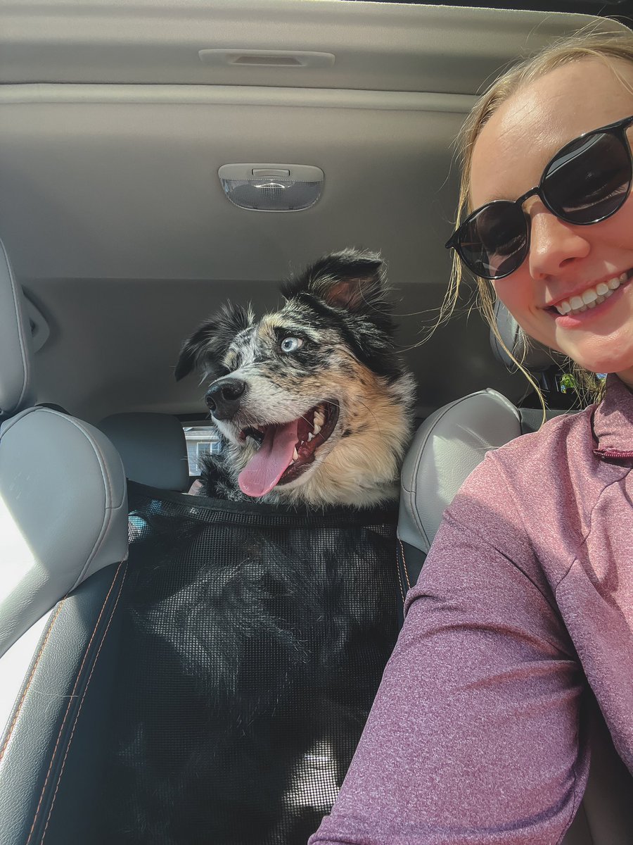 cjdoeslife's tweet image. Happy to be back:) 

PNW 🌲📍