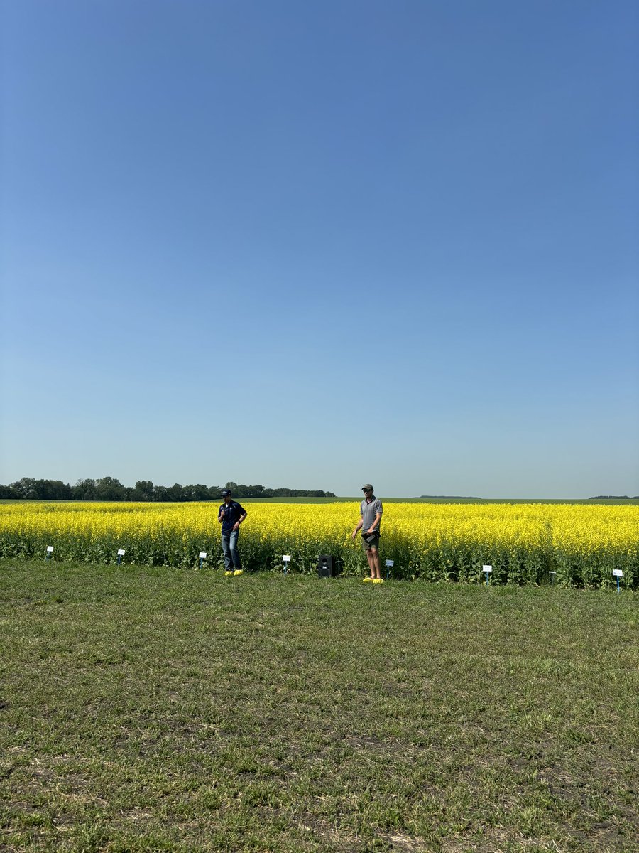 NARF (@narf_melfort) on Twitter photo Thank you to everyone who came out to our field day today and braved the heat! Thanks to all our speakers and sponsors of the event <a href="/SaskPulse/">Saskatchewan Pulse Growers</a> <a href="/SaskWheat/">Sask Wheat</a> @SaskCanola <a href="/SaskBarley/">SaskBarley</a> <a href="/OatGrowers/">Prairie Oat Growers Association</a> We hope to see everyone again next year! Thank you to everyone who came out to our field day today and braved the heat! Thanks to all our speakers and sponsors of the event <a href="/SaskPulse/">Saskatchewan Pulse Growers</a> <a href="/SaskWheat/">Sask Wheat</a> @SaskCanola <a href="/SaskBarley/">SaskBarley</a> <a href="/OatGrowers/">Prairie Oat Growers Association</a> We hope to see everyone again next year!