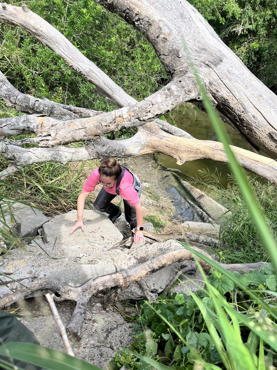 Nielsen Lab tweet media