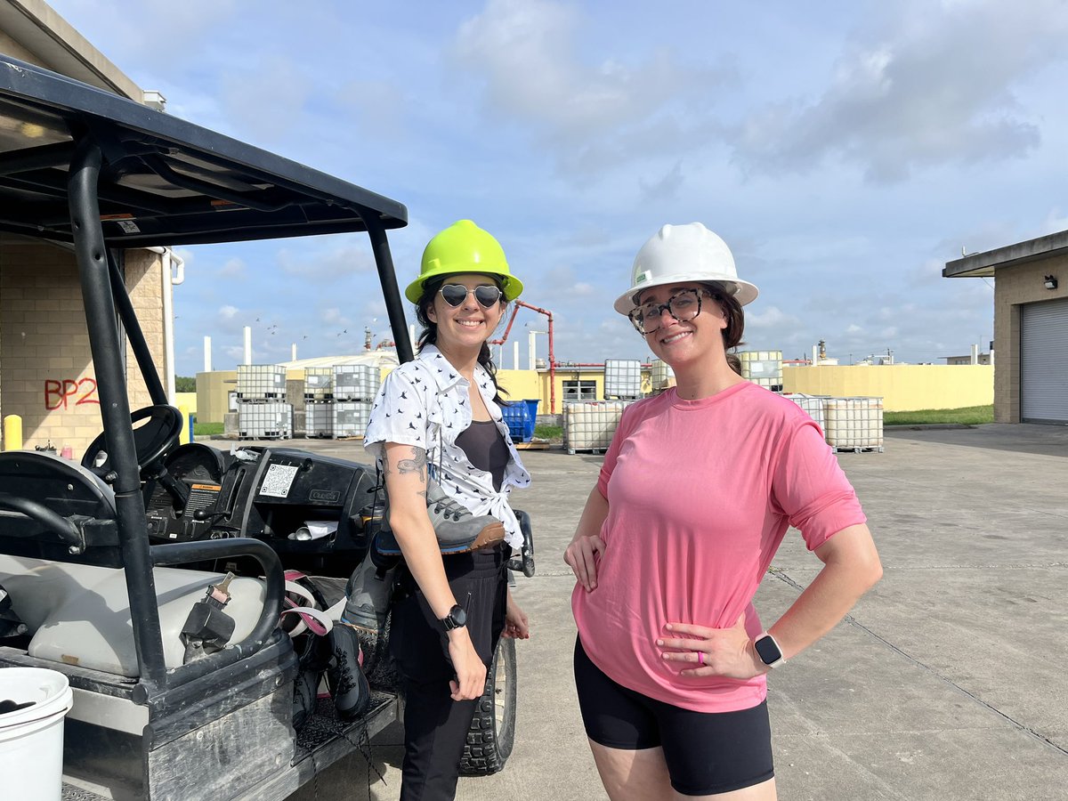 Nielsen Lab tweet media