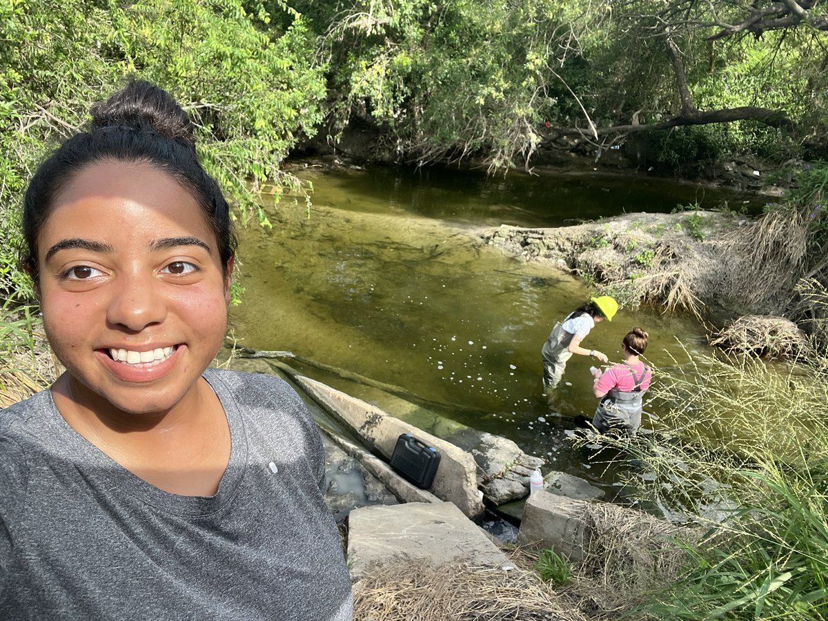 Nielsen Lab tweet media