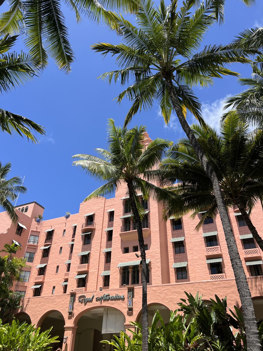 lealeahawaii's tweet photo. #ハワイ からおはようございます😊 本日も素敵な一日になりますように🌺🌴

https://t.co/nAxE3VG9uw

#ハワイ旅行 #ワイキキ #ハワイ好きな人と繋がたい #ハワイ大好き #ピンクパレス #ロイヤルハワイアンホテル https://t.co/XyzUjBpvFP