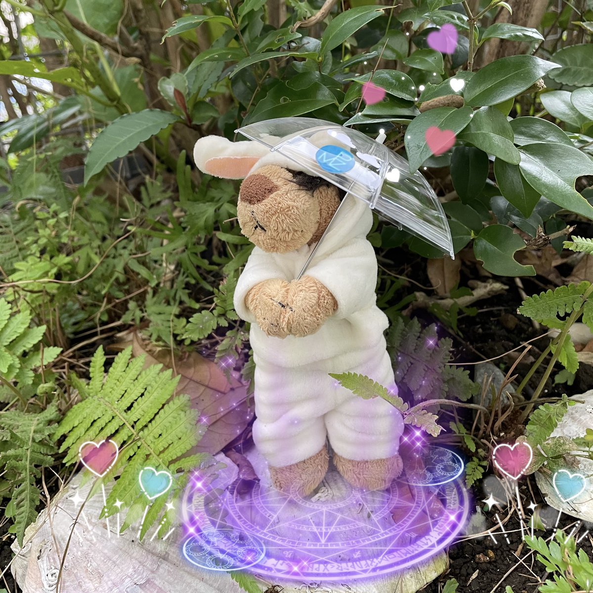 梅雨あけました~
夏本番、今年も暑いでしょ~😆w