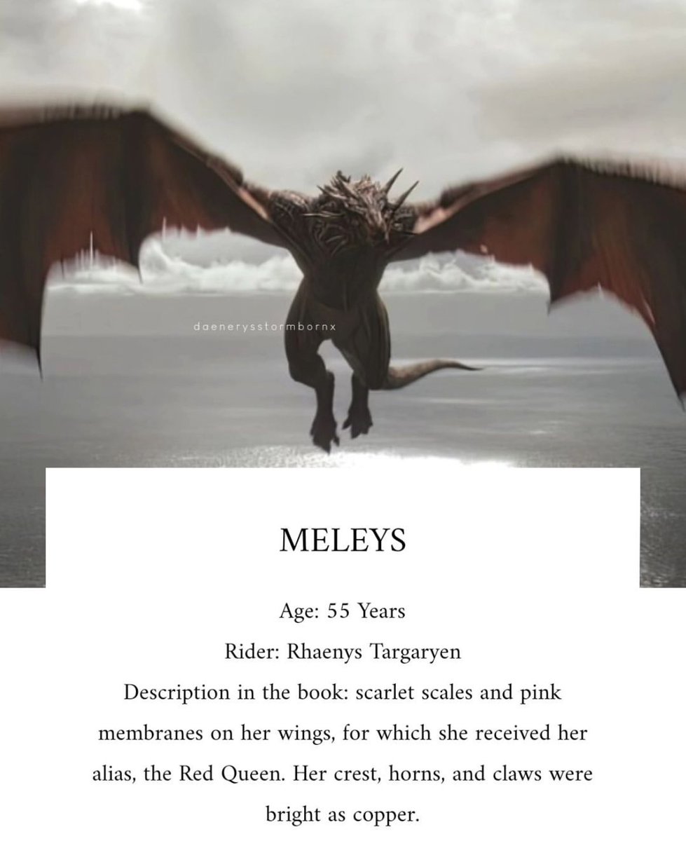 HOTDNewsHBO's tweet photo. Vhagar

Meleys 

Sunfyre 

Caraxes 

#HouseOfTheDragon https://t.co/AtGlPmmYxA