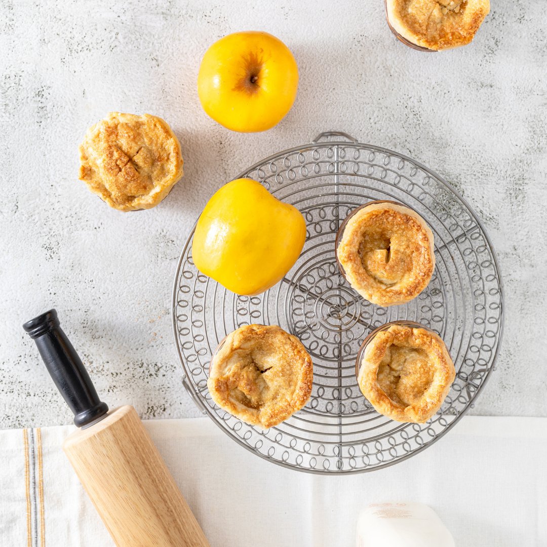 Opal Apple tweet media