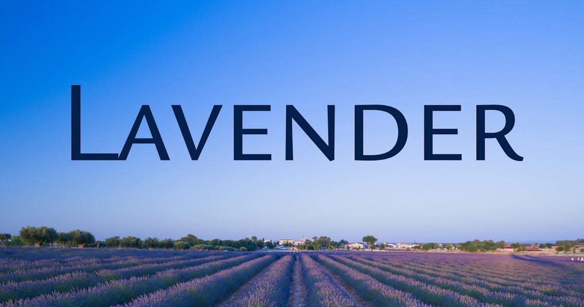 Astaroth667's tweet photo. Lavender https://t.co/4LaQXL6lra https://t.co/DMvXyCYCni