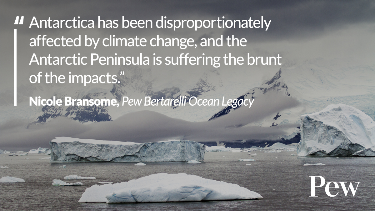 This week in Korea, countries can agree to harmonize conservation efforts in the Antarctic Peninsula.

Our <a href="/OceaNikk_1/">Nikki B</a> joined ocean advocates to discuss how to build climate resilience in the region and ensure a healthier Southern Ocean. #CCAMLR #ProtectAntarctica