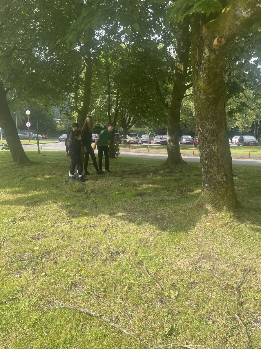 MacsFrenchDepartment tweet media