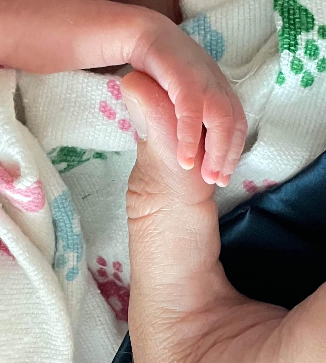 Bobby Johnston tweet media