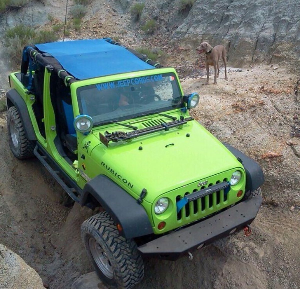 SpiderWebShade's tweet image. We are throwing it back this Thursday with this one! 🙌 There is nothing like a day of wheeling with the doggo and friends! ☀️Stay shaded from the suns harmful rays with a @spiderwebshade shadetop of your own today! 😎#spiderwebshade #shadebrigade #uvprotection #funinthesun