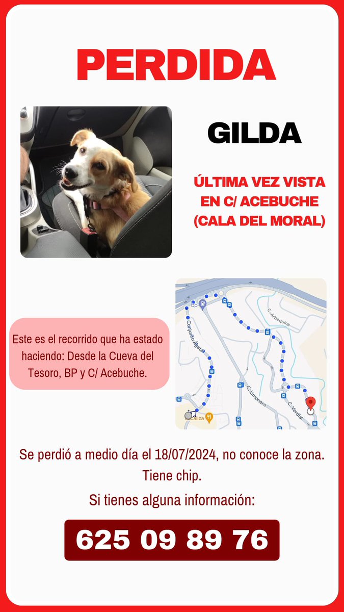 protemalaga's tweet photo. GILDA SE HA PERDIDO‼️

Ultima vez vista en C/Acebuche (📍Cala Del Moral).

Si tienes alguna información, contacta al:  625 09 89 76📞

Ayúdanos difundiendo, GILDA tiene que aparecer🙏🏼 https://t.co/MPN0bmND8X