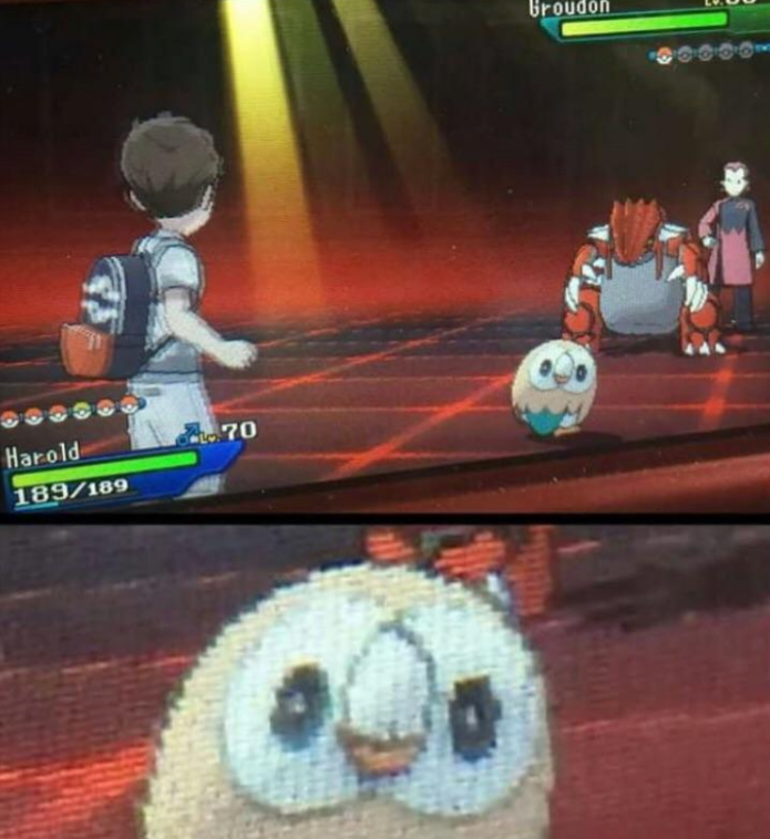 The_BryanD's tweet photo. @Pokemon Trying to win with your favorites be like 😭 https://t.co/gsfv63t340