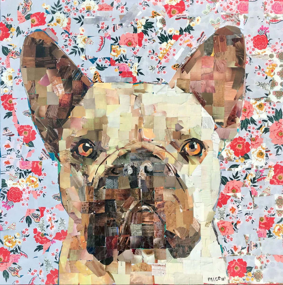 Muttville Senior Dog Rescue, San Francisco tweet media