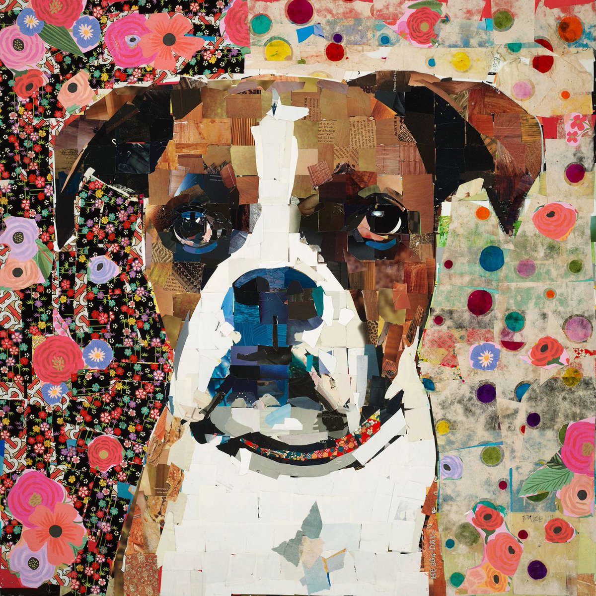 Muttville Senior Dog Rescue, San Francisco tweet media