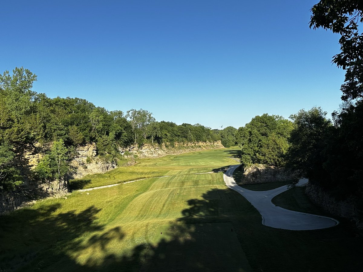 Taylor Olson tweet media