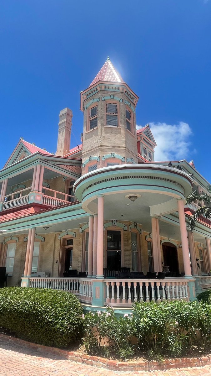 Zoey White tweet media