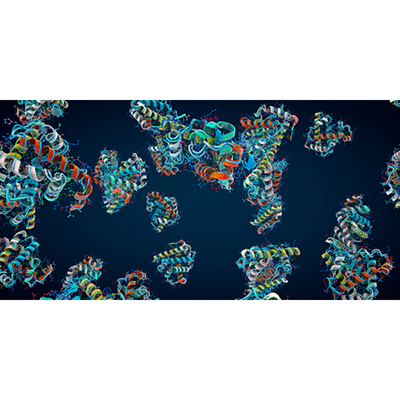 PhysRevX's tweet photo. A new theory that accounts for disorder in a protein’s structure sheds light on the development inside a cell of tiny droplets that are vital to a cell’s function

Read https://t.co/I8RzynuPcw

@PhysicsMagazine Synopsis https://t.co/9UmdCY3tTG

#PRXjustpublished #PRXsoft  #PRXbio https://t.co/tdZq98iqJ4