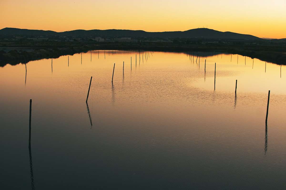 Juan Duque Oliva (@juanduqueoliva) on Twitter photo 