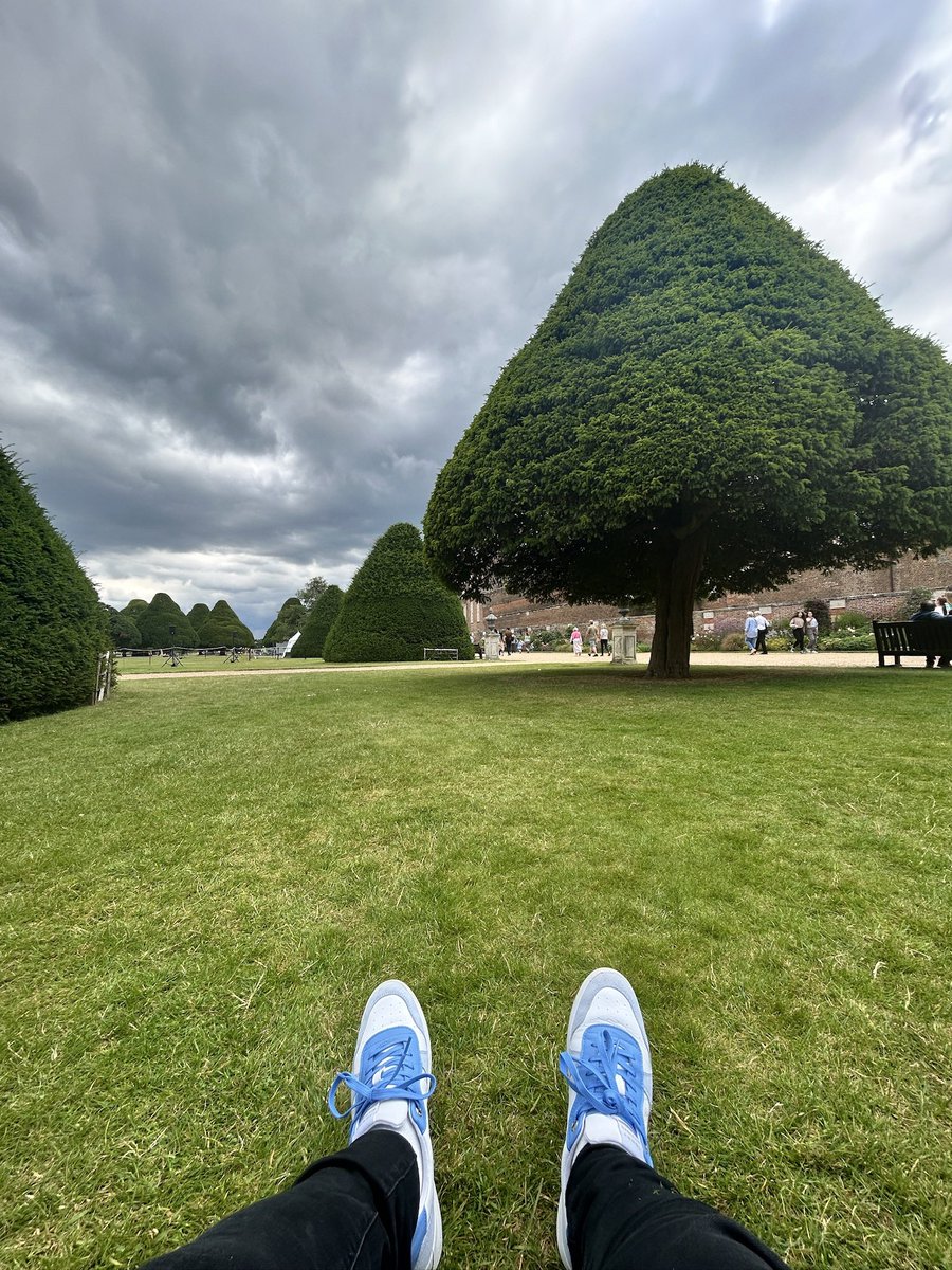 RAWRreina's tweet photo. Literal nga..

The grass is greener on the other side 🌳💚 https://t.co/VPo8FWbfwX