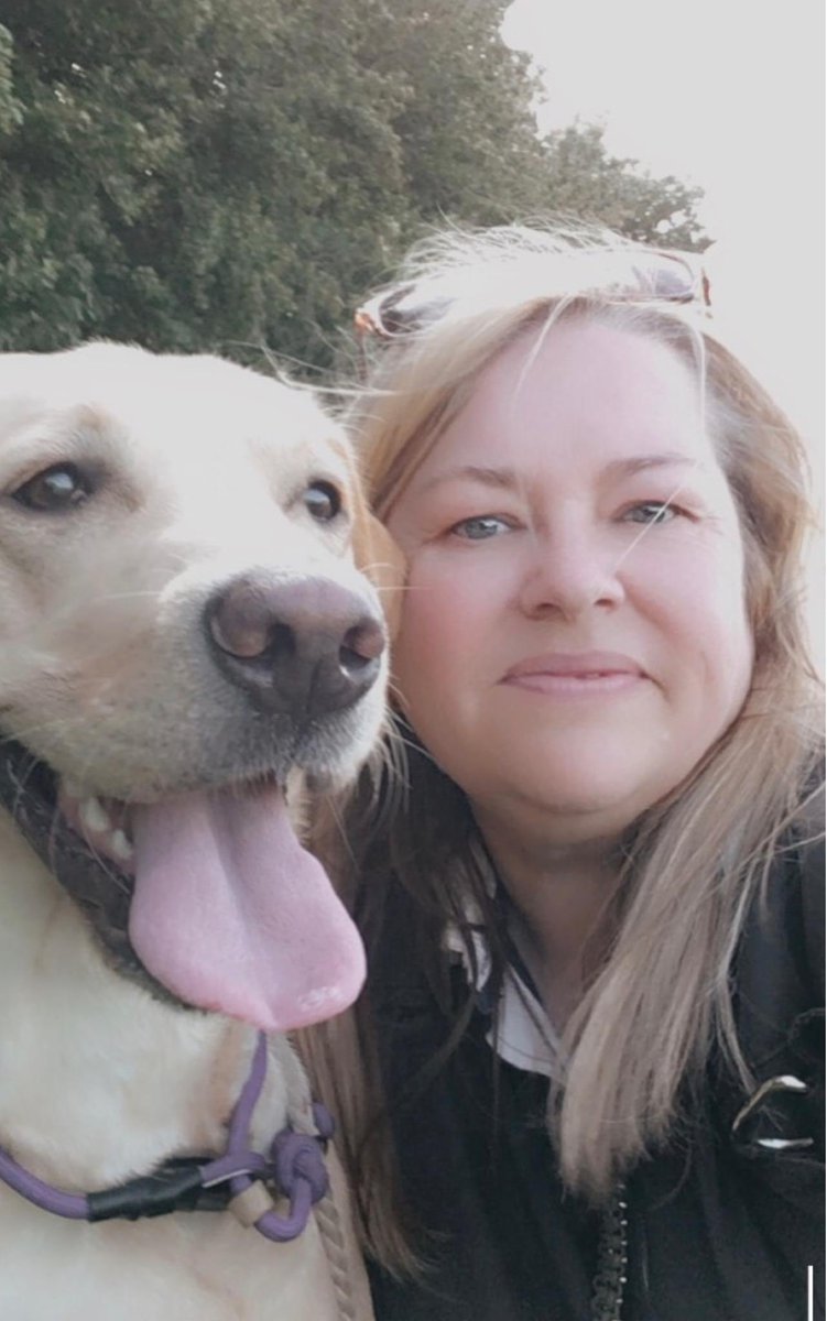 CSJ Dog Food tweet media