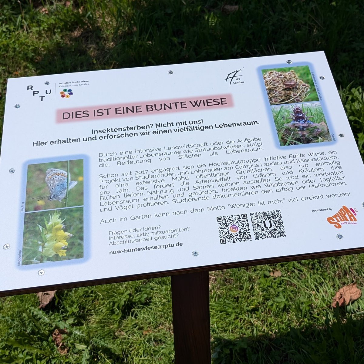Neue Schilder für die #BunteWiese am #Campus #Landau <a href="/rptu_kl_ld/">RPTU</a>! Die alten waren in die Jahre gekommen - und wurden nach Partys auch mal als Sitzgelegenheit genutzt... Danke ans #StuPa für die Finanzierung und Hausmeister fürs Aufstellen!
#RPTU #Hochschulgruppe #Campusleben