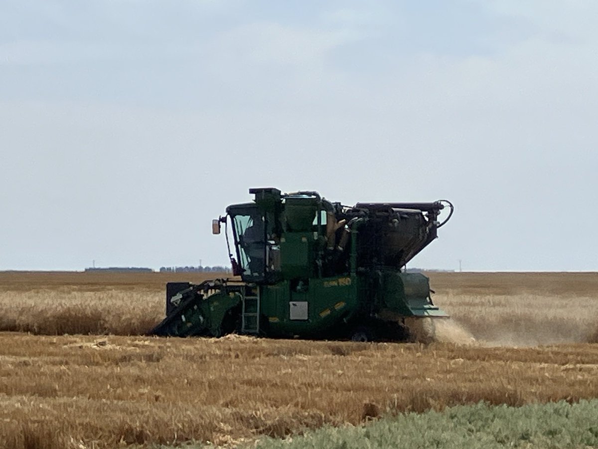 Chris Cu11an tweet media