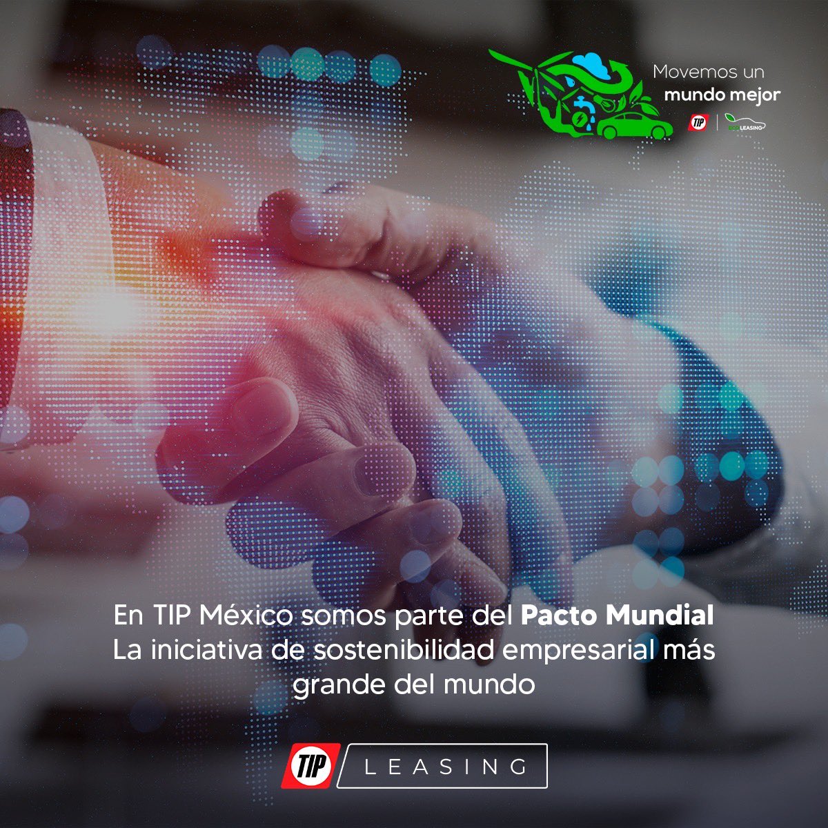 AMAVeAsociacion's tweet image. TIP México se adhiere al Pacto Mundial de las Naciones unidas, alineando sus estrategias y operaciones con los diez principios universales enfocados a Derechos Humanos, Estándares Laborales, Medio Ambiente y Anticorrupción. 🤝🌿 #TIPMéxico #TIPLeasing #ESR #PactoMundialMéxico
