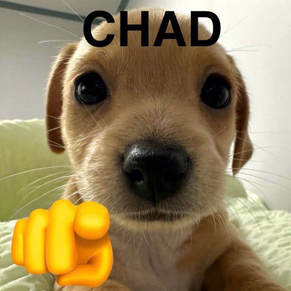 Lexapro™ 💉 🕳️ tweet media