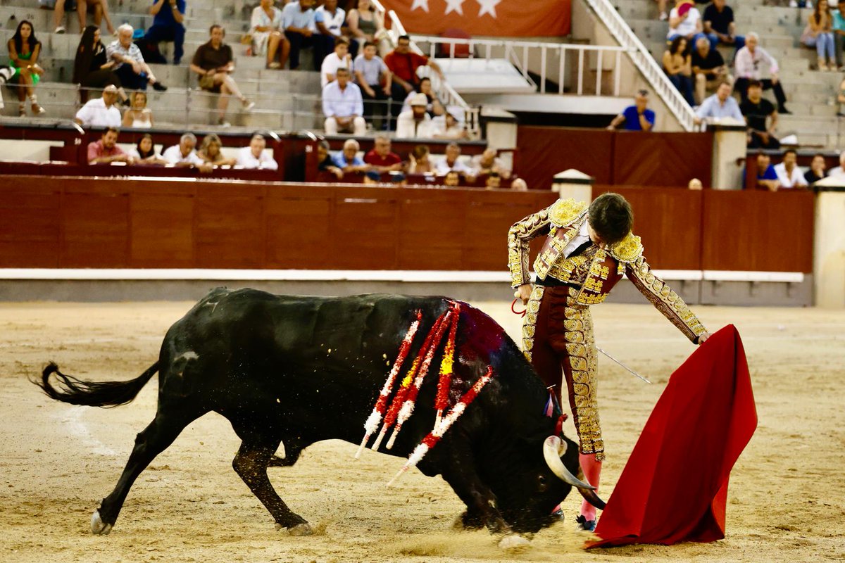 aplausos's tweet photo. ✍️MADRID I Fabio Jiménez se destapa al natural en la cuarta de Cénate Las Ventas

💠Por Gonzalo I. Bienvenida

@LasVentas #ManoloVazquez #FabioJimenez #MarioNavas

https://t.co/5lchT5oUP0 https://t.co/NZaeextcgI